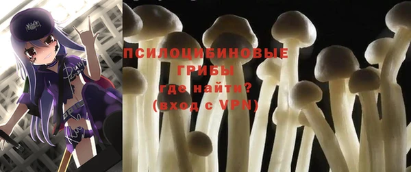мяу мяу мука Мегион