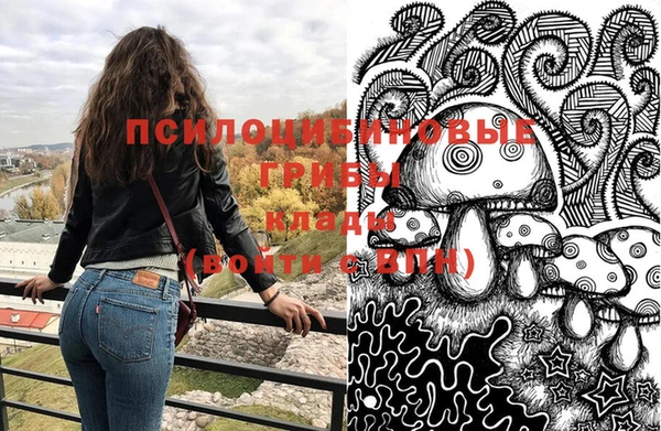 МДПВ Медвежьегорск