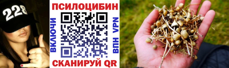Галлюциногенные грибы ЛСД  Северск 