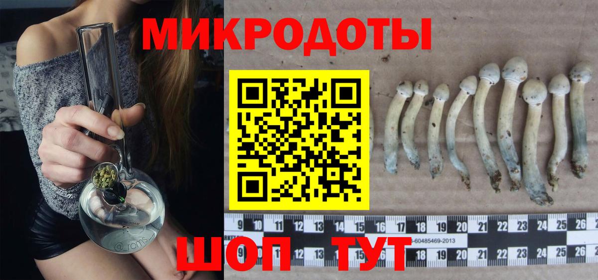 Галлюциногенные грибы мухоморы Северск