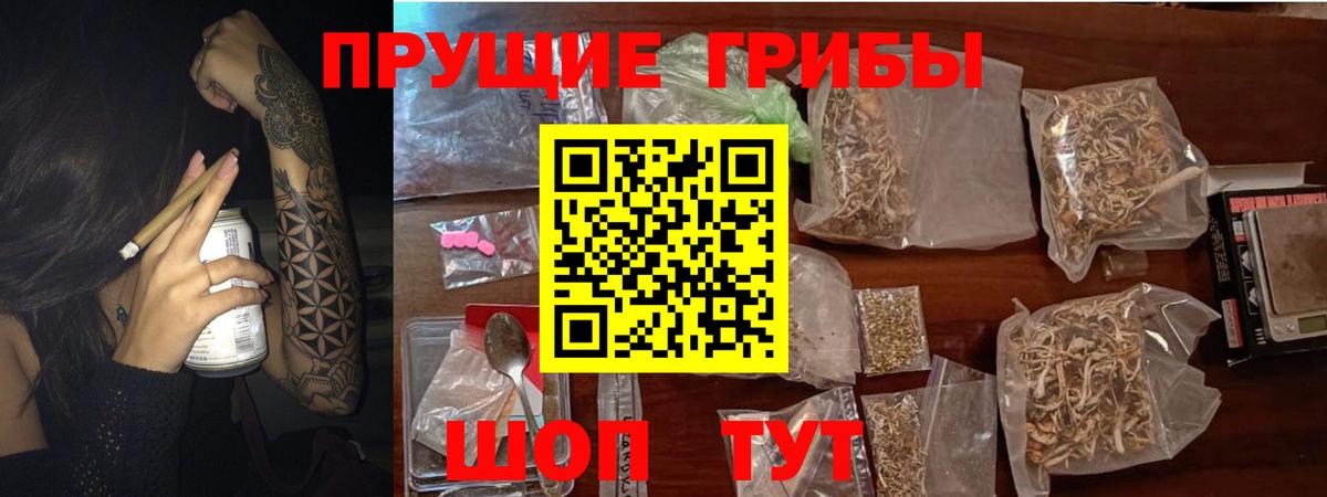 цены   Псилоцибиновые грибы Psilocybe  Вход с VPN  Северск 